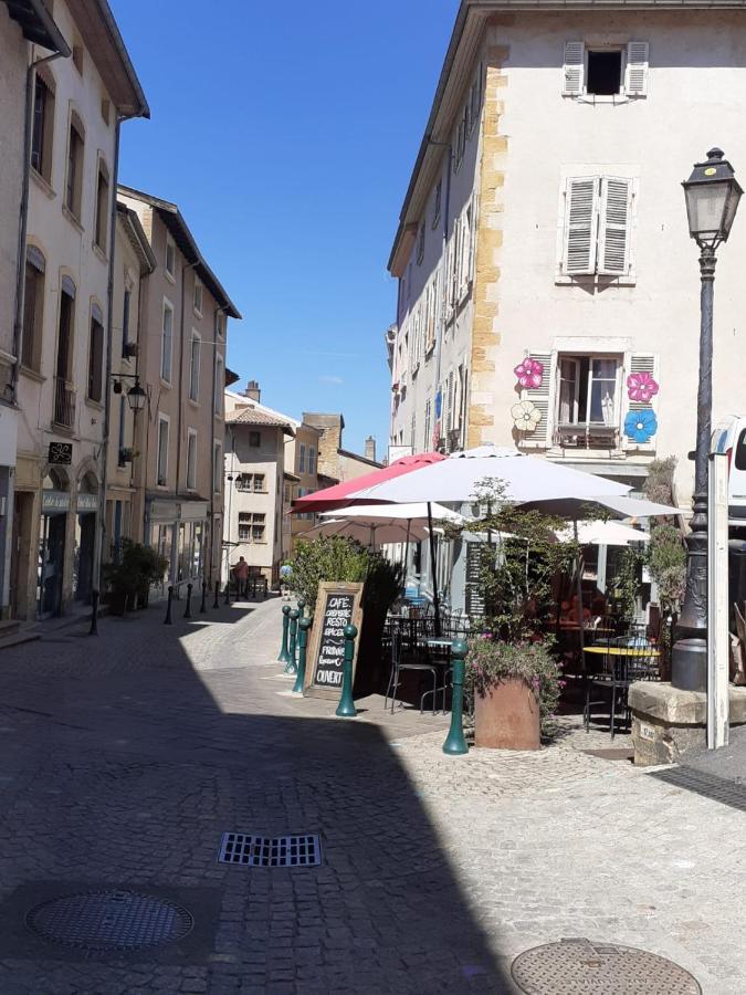 Trevoux: Loft Ravissant Avec Terrasse Apartment Exterior photo